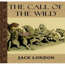 THE CALL OF THE WILD THE CALL OF THE WILD